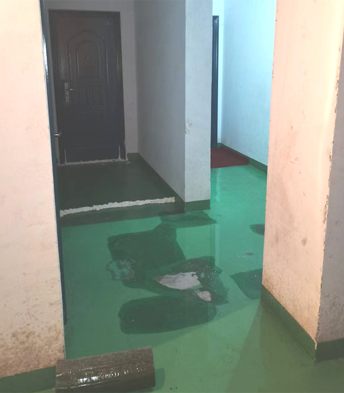 6888211dcde71.jpg 20250729004.jpg